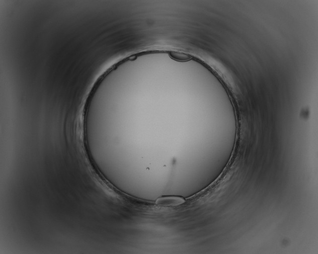 X0000102821238200809081124