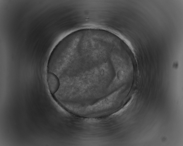 X0000102821239200809081124