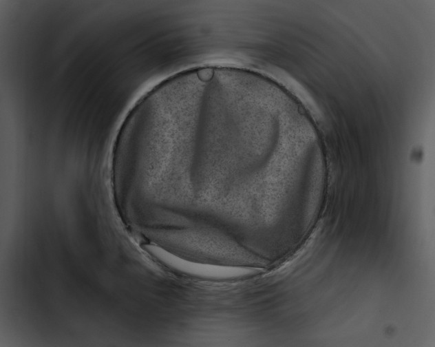 X0000102821240200809081124