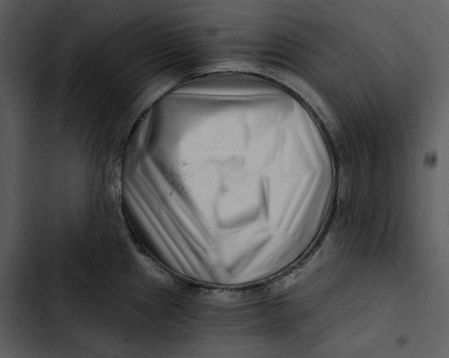 X0000102821241200809081124