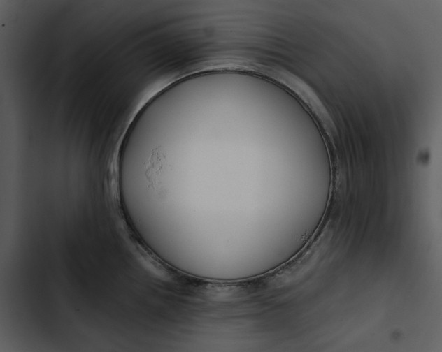 X0000102821242200809081124