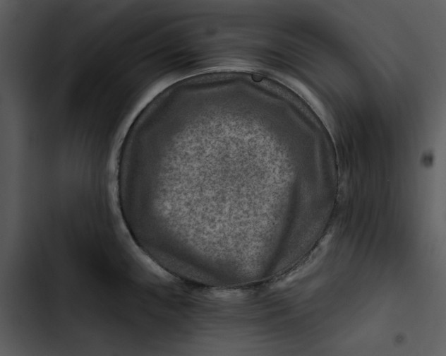 X0000102821243200809081124