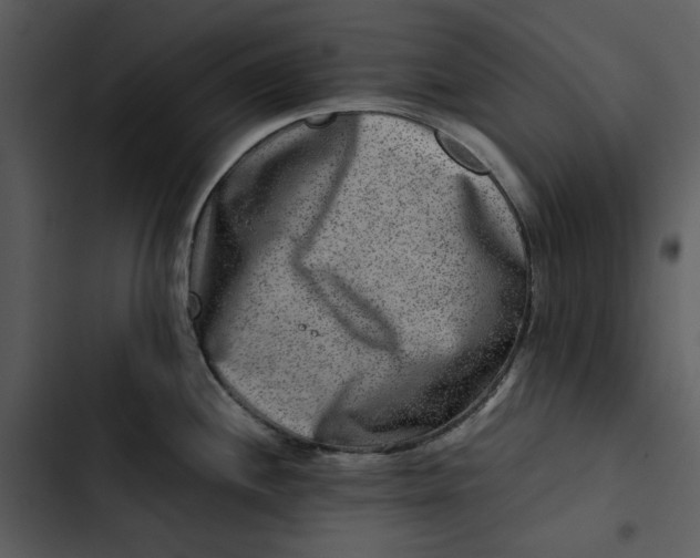 X0000102821244200809081124