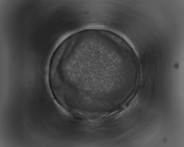 X0000102821245200809081124