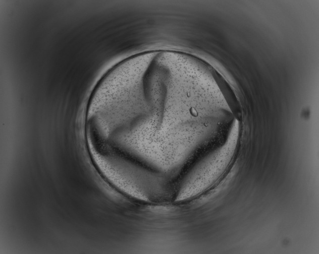 X0000102821246200809081124