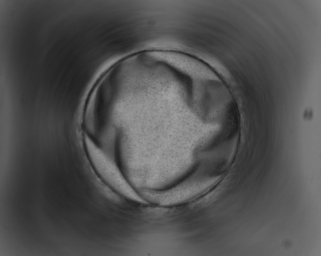 X0000102821248200809081124