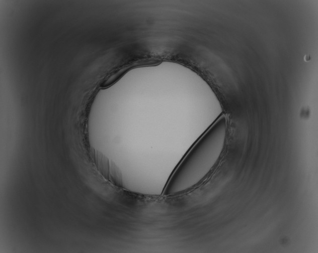 X0000102821249200809081123