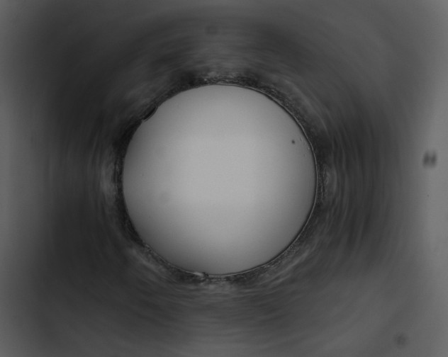 X0000102821250200809081123