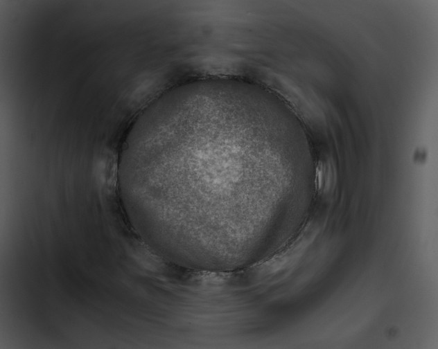 X0000102821251200809081123