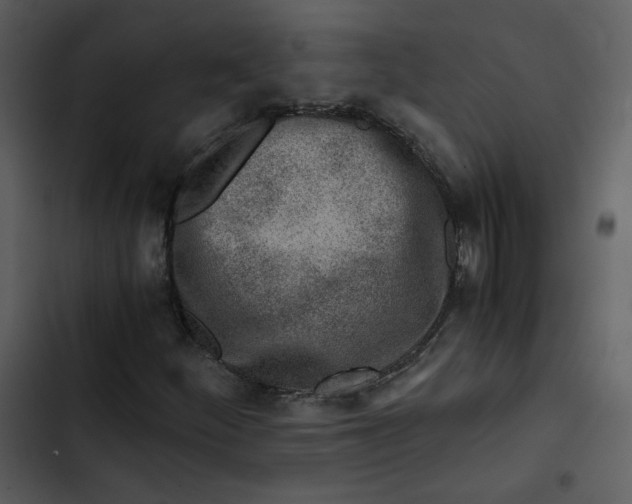 X0000102821252200809081123