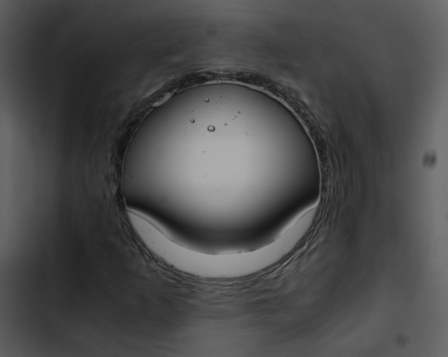 X0000102821253200809081123