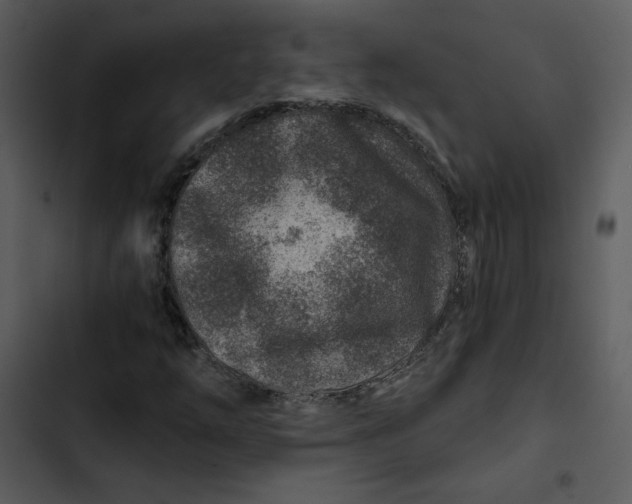 X0000102821254200809081123