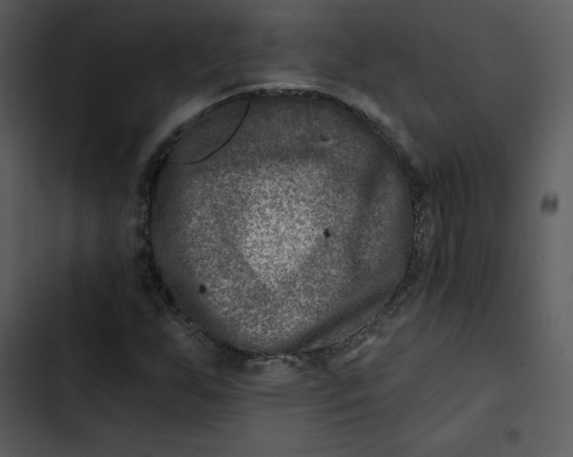 X0000102821255200809081123