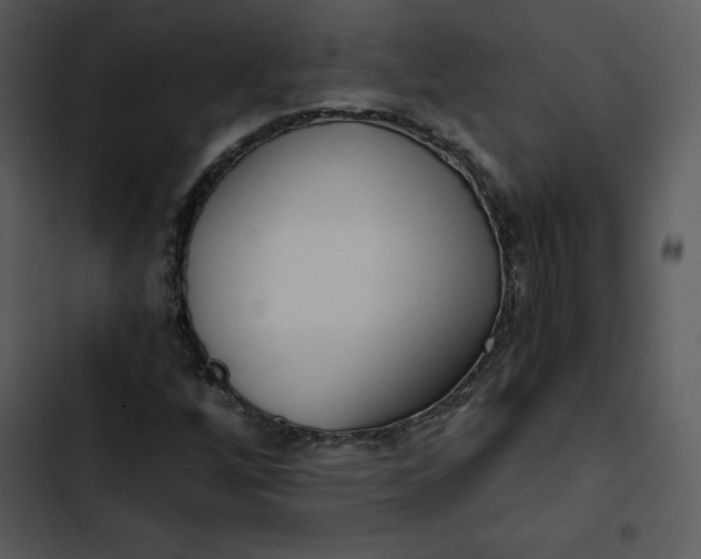 X0000102821256200809081123