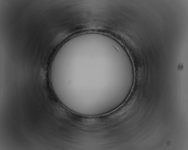 X0000102821257200809081123