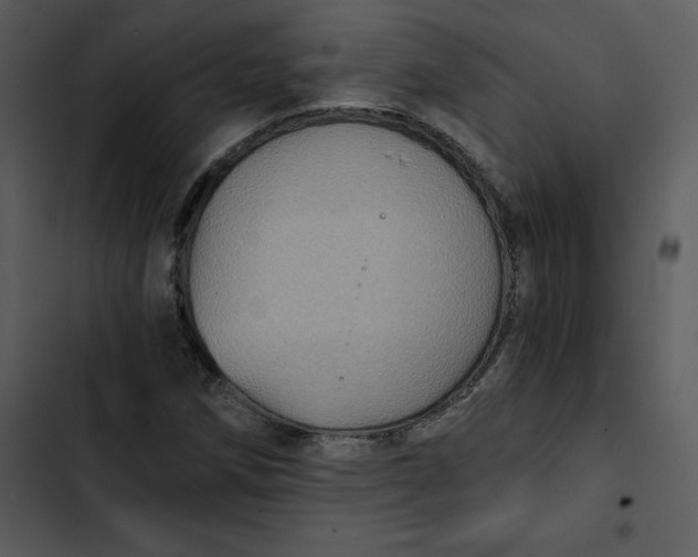 X0000102821258200809081123