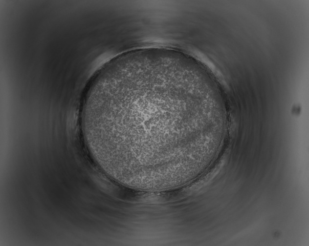 X0000102821259200809081123