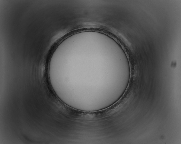 X0000102821261200809081123