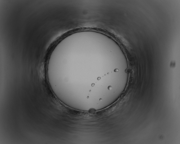 X0000102821262200809081123