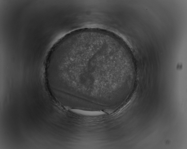 X0000102821263200809081123