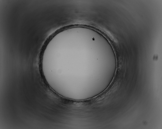 X0000102821264200809081123