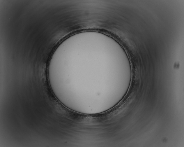 X0000102821265200809081123