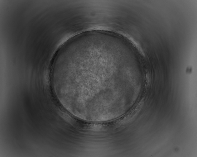 X0000102821266200809081123