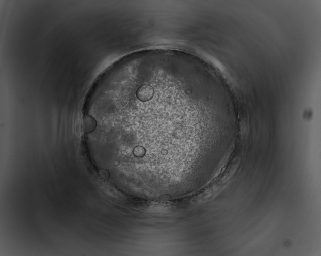 X0000102821267200809081123