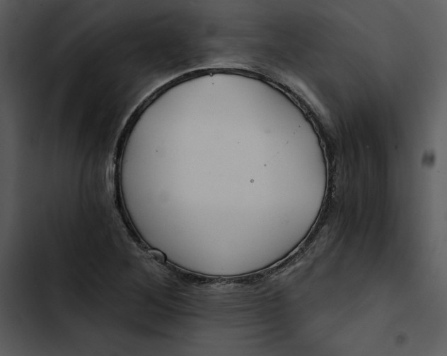 X0000102821268200809081123