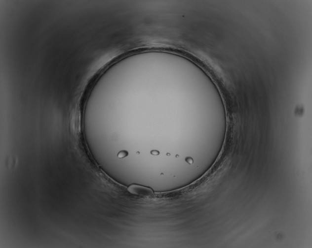 X0000102821269200809081123