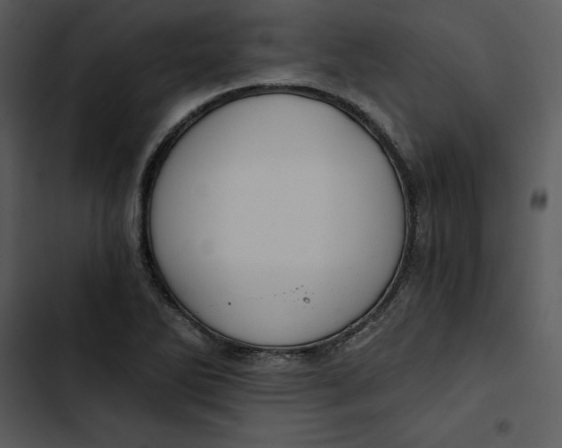 X0000102821270200809081123