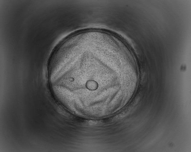 X0000102821271200809081123