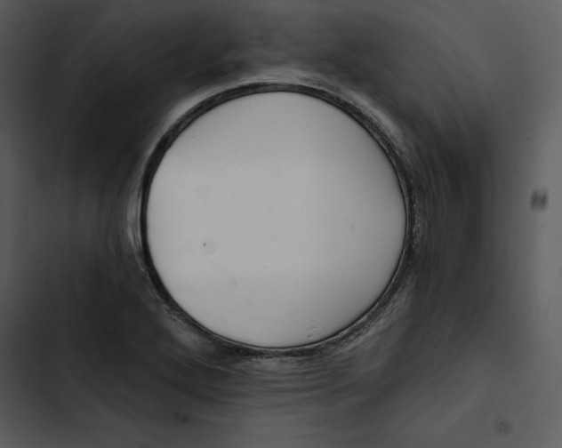 X0000102821272200809081123