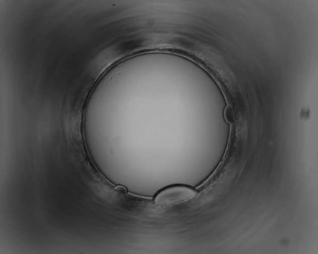 X0000102821273200809081123