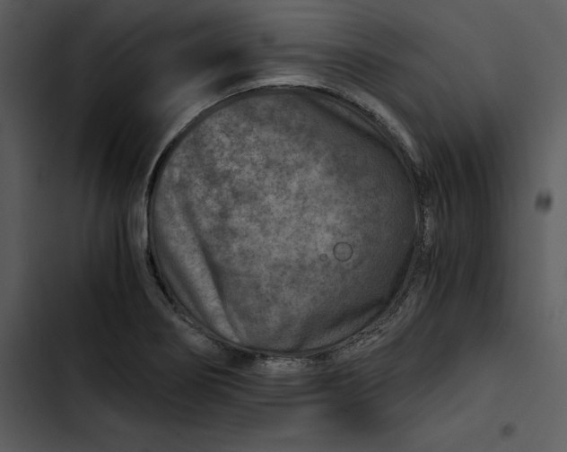 X0000102821274200809081123