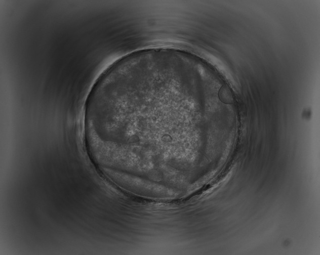 X0000102821275200809081123