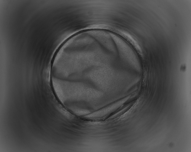 X0000102821276200809081123