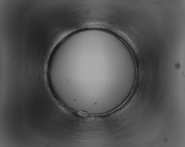 X0000102821277200809081123