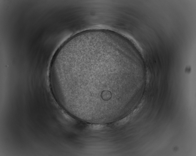 X0000102821278200809081123