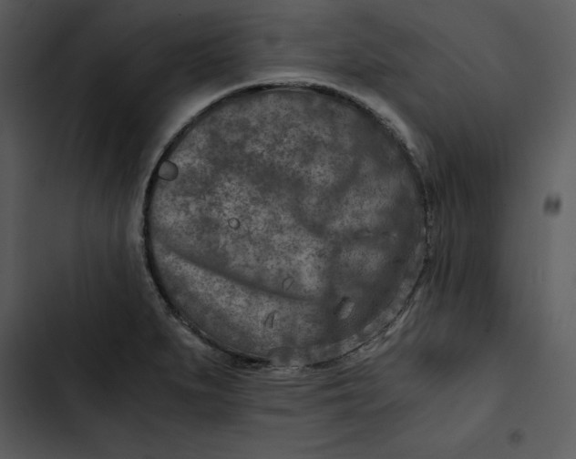 X0000102821279200809081123