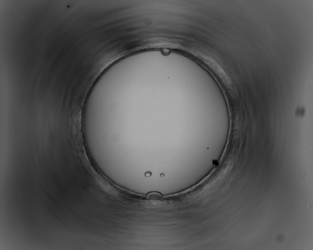 X0000102821281200809081123