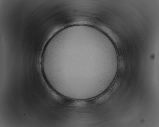 X0000102821282200809081123