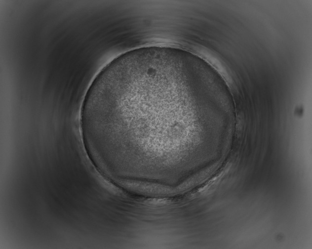 X0000102821283200809081123