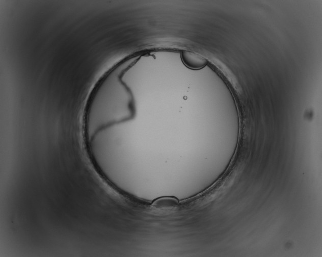 X0000102821285200809081123