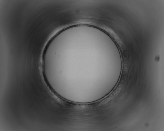 X0000102821286200809081123