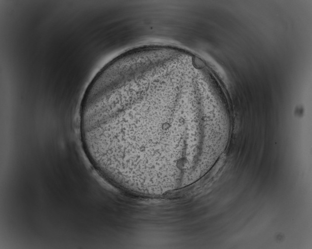 X0000102821287200809081123