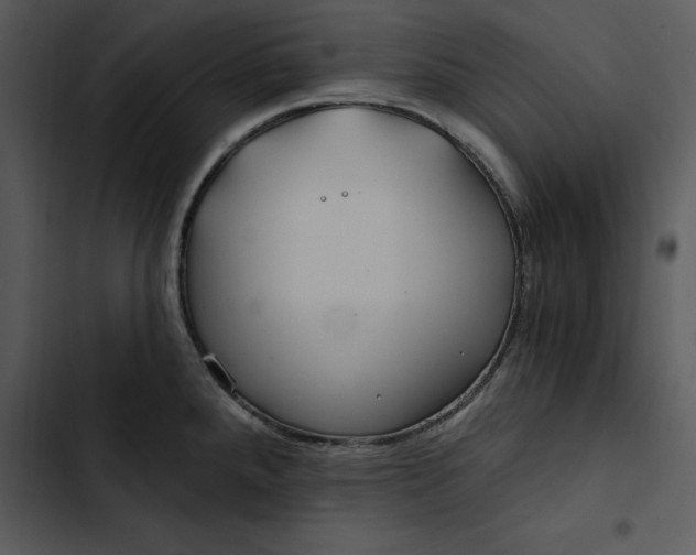 X0000102821288200809081123