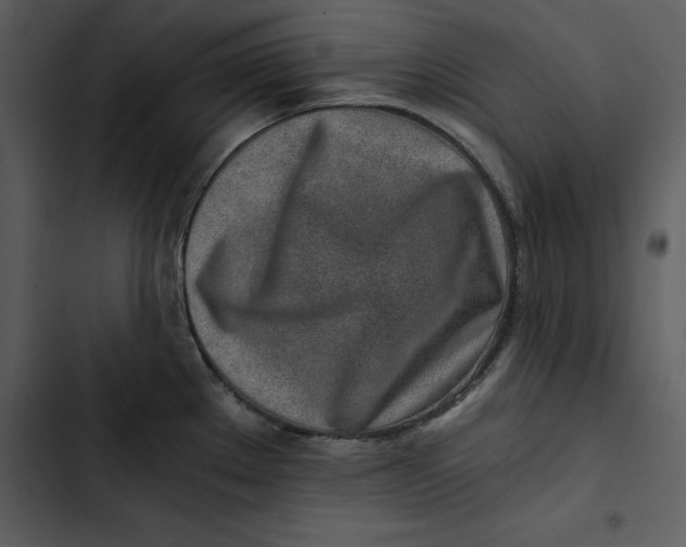 X0000102821289200809081123