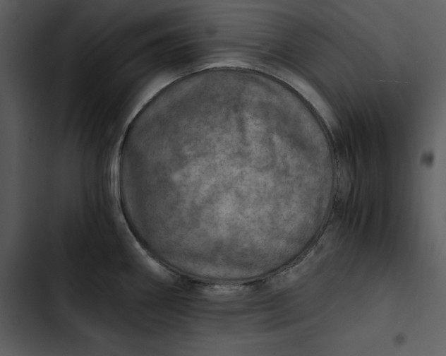 X0000102821290200809081123