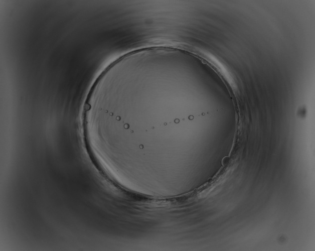 X0000102821291200809081123